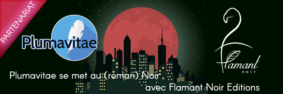 Header partenariat flamant noir 4